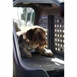 Aragon Coffre D'attelage TowBox V2 Dog Gris 24 Aragon Coffre D'attelage TowBox V2 Dog Gris -VTT Soldes Magasin coffre d attelage towbox v2 dog gris 10